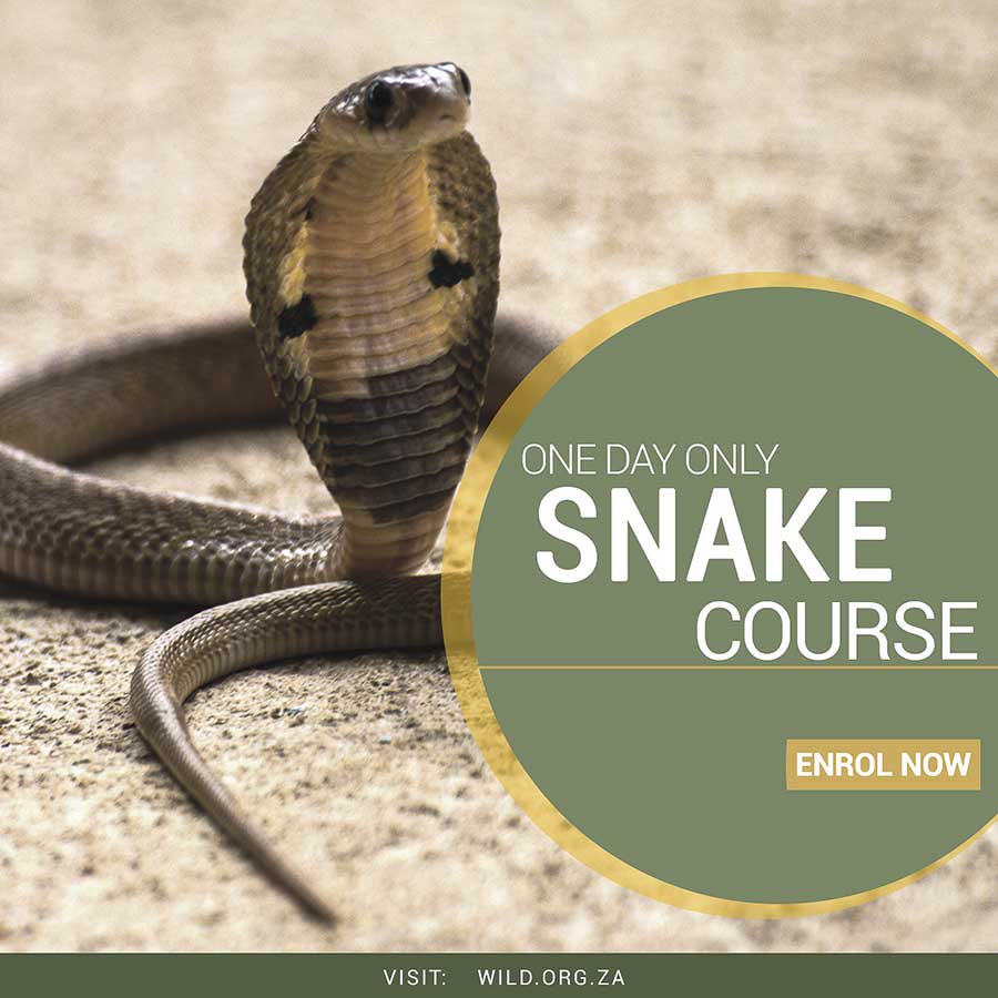 Wildlife Education Foundation