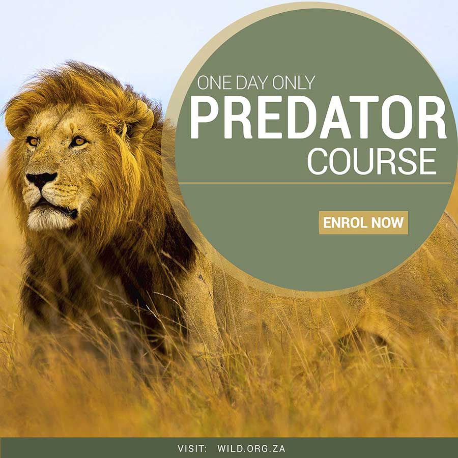 Wildlife Education Foundation
