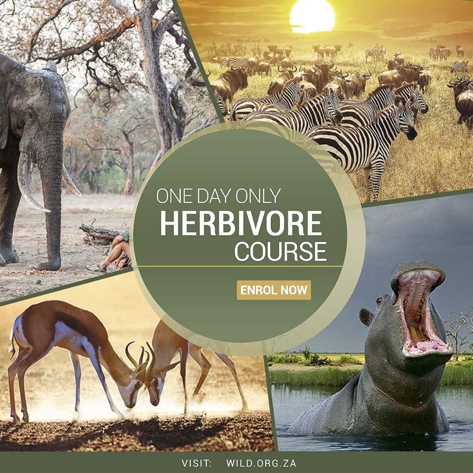 Herbivore Course