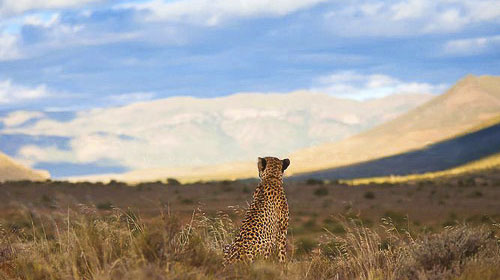 Leseli Experience