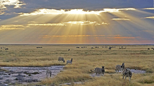 Leseli Experience
