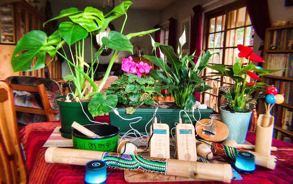 LESELI Plantmusic