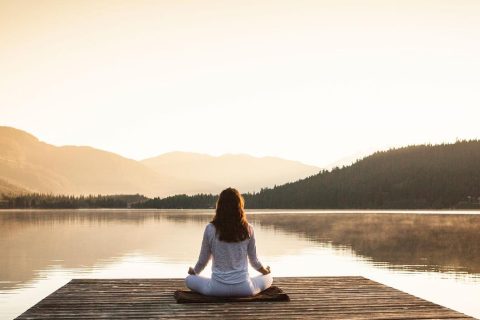 Wild Wellness Program
