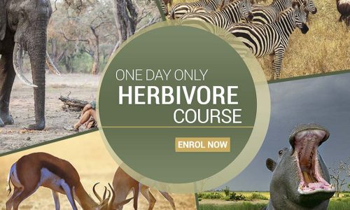 course thumbnail