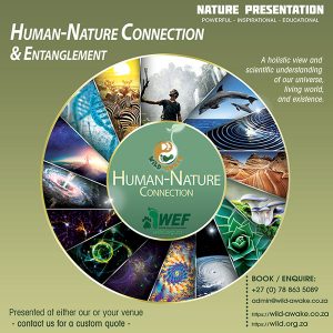 Human-Nature Connectedness