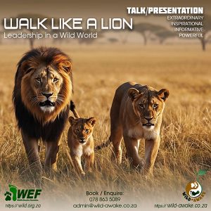 Wild-Awake