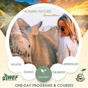 Holistic Program