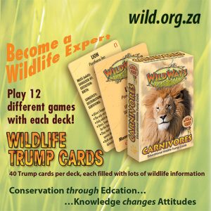 Wildlife Trump Cards