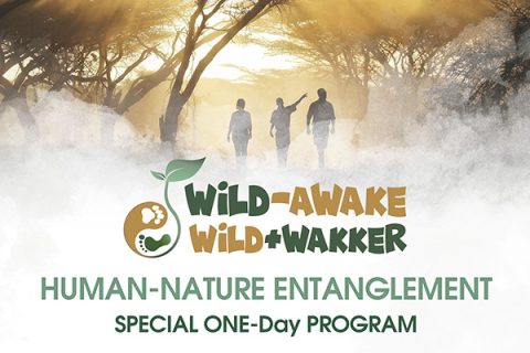 Wild-Awake